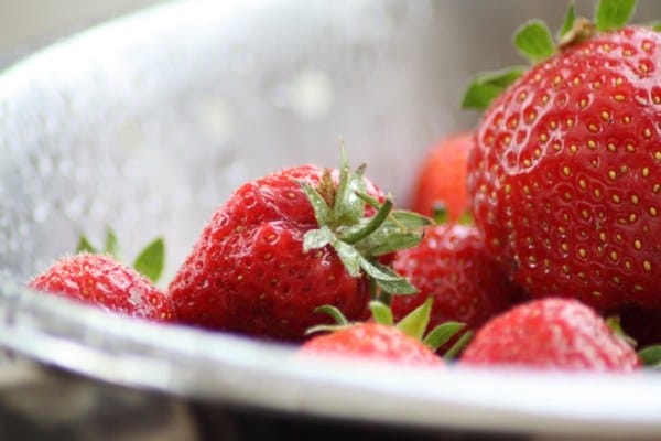 Berries Slow Age-Related Memory Loss