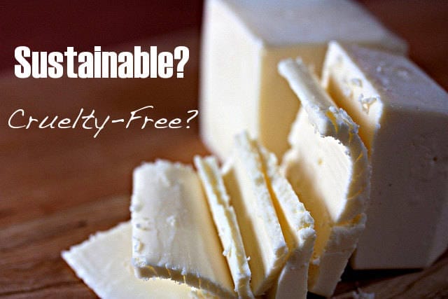 Guide: Vegan Products and Palm Oil
