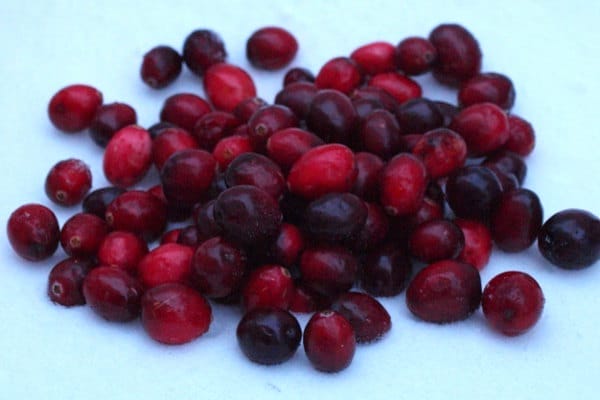 Easy Tips for a Nutritious and Scrumptious Holiday Dinner  