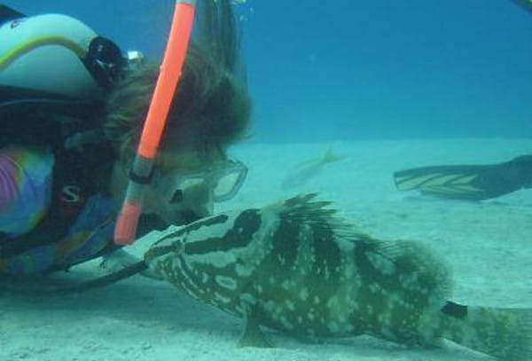 Getting a Feeling for Fish: Can They Feel Pain?