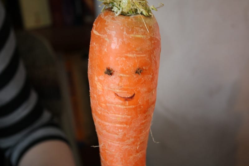 Vegan Kids