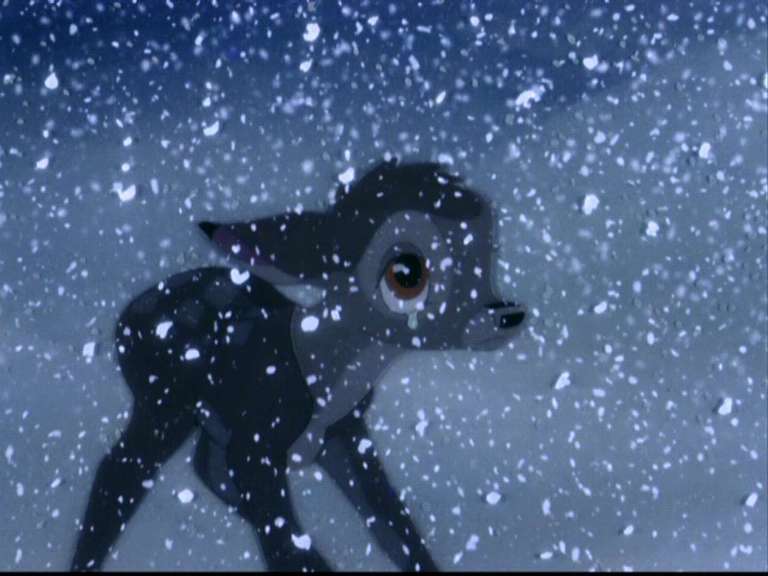 4 Things Disney Movies Teach Us About Animals
