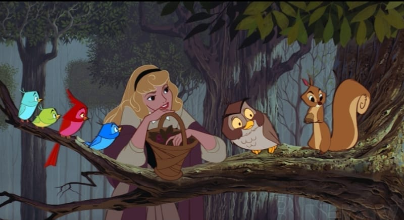 4 Things Disney Movies Teach Us About Animals