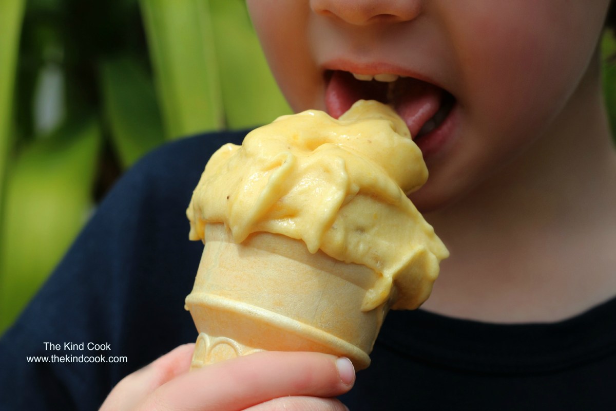 10 Replacements for Dairy in Your Ice Cream