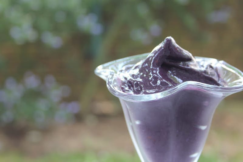 Dairy-free, no-fat, low sugar Blackberry Ice Cream