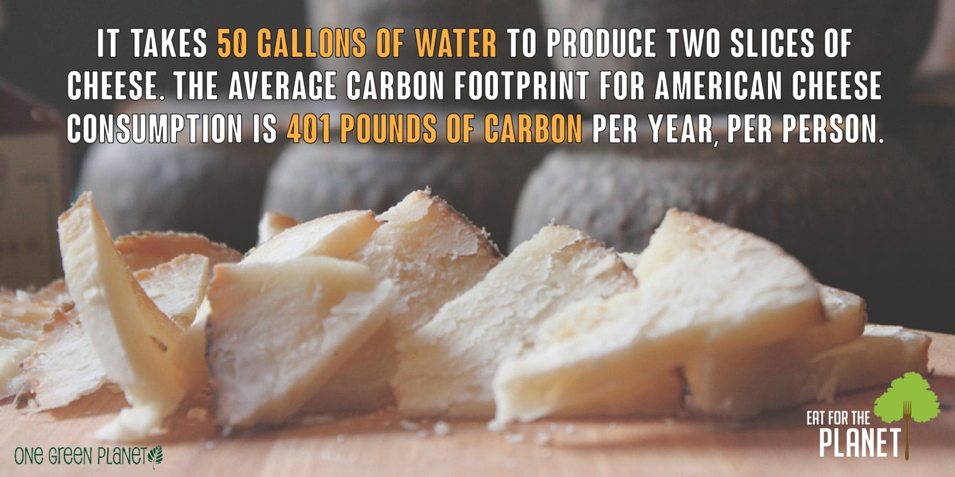 Are You Taking a Bite Out of the Environment? Top 10 Most Environmentally Destructive Foods