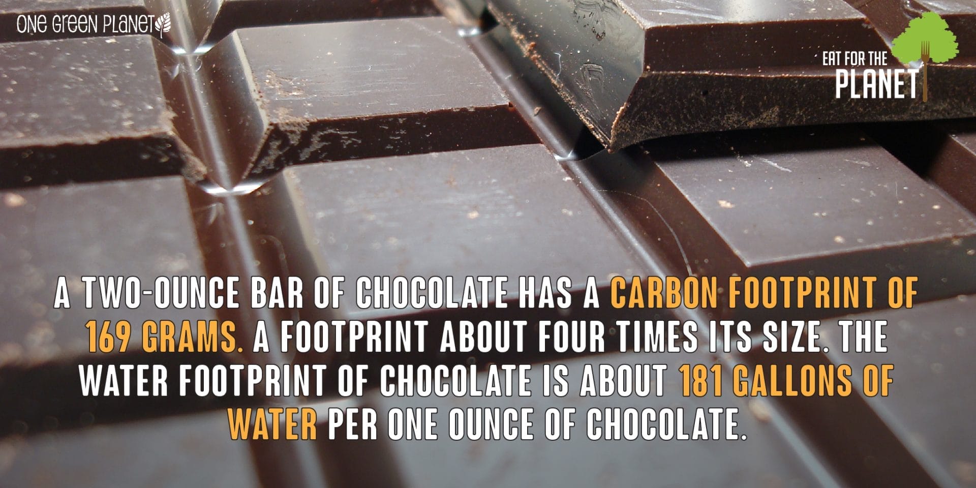 Are You Taking a Bite Out of the Environment? Top 10 Most Environmentally Destructive Foods