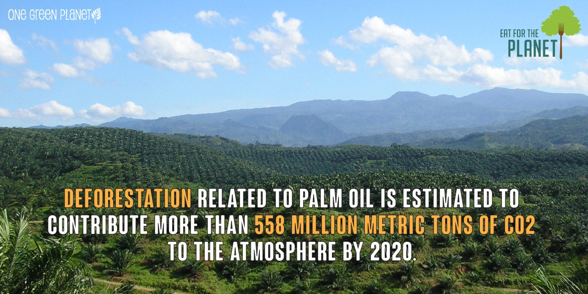 Are You Taking a Bite Out of the Environment? Top 10 Most Environmentally Destructive Foods