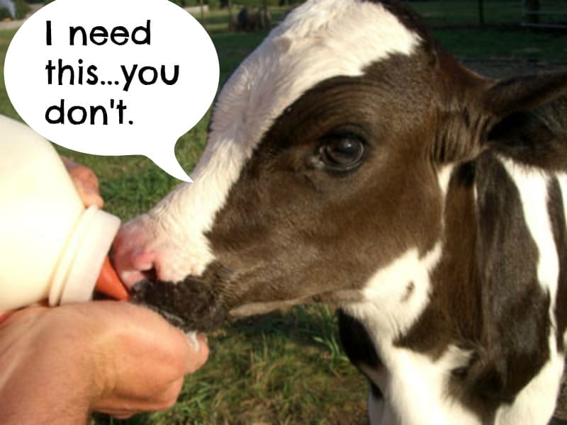 Your 12 Step Guide To Kicking That Dairy Addiction