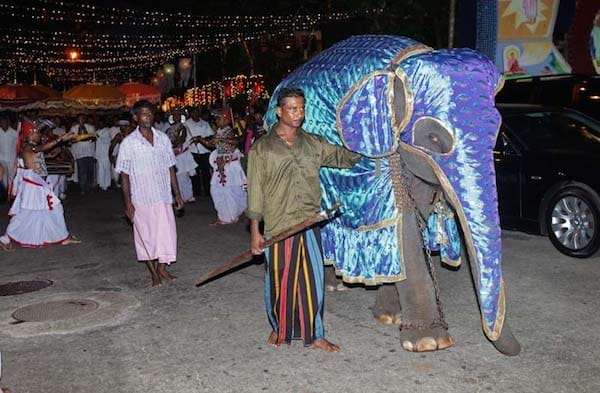 Heart of Ganesh is Encouraging Compassion to End Human-Elephant Conflict