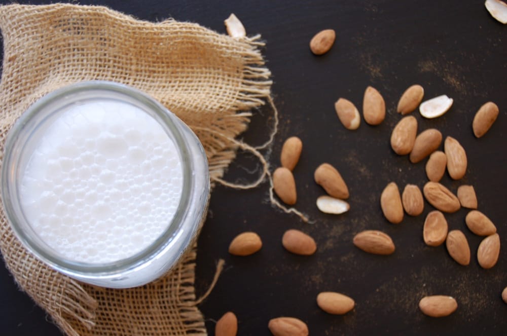 how-to-milk-an-almond-and-make-milk (3)