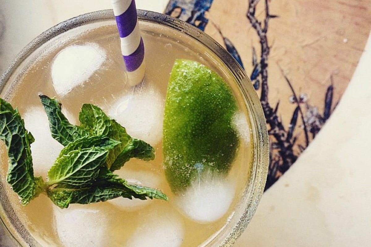 Fizzy Coconut, Lime and Mint Kombucha Elixer