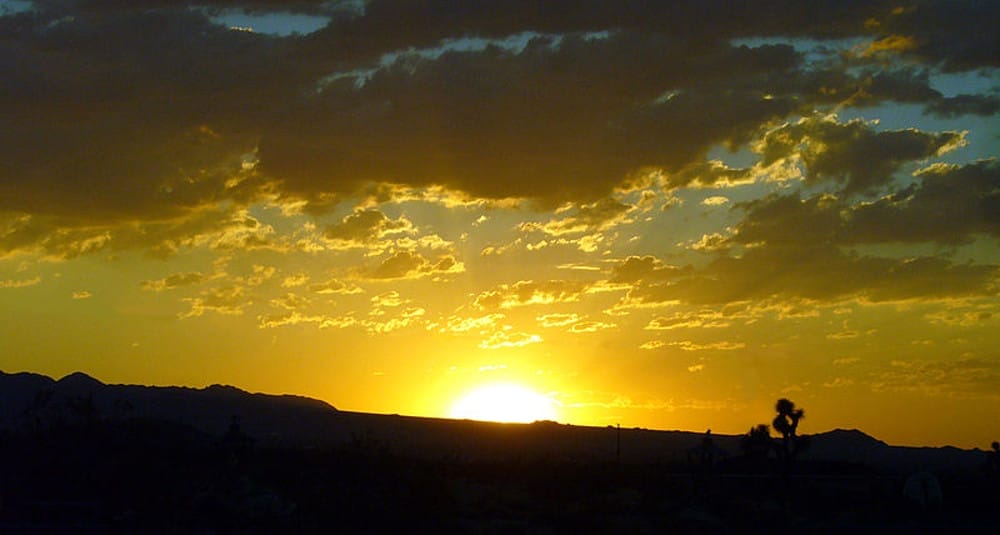 Sunshine1