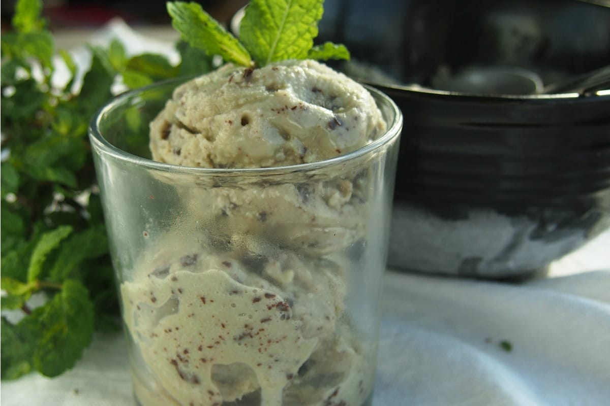 mint-chocolate-chip-2