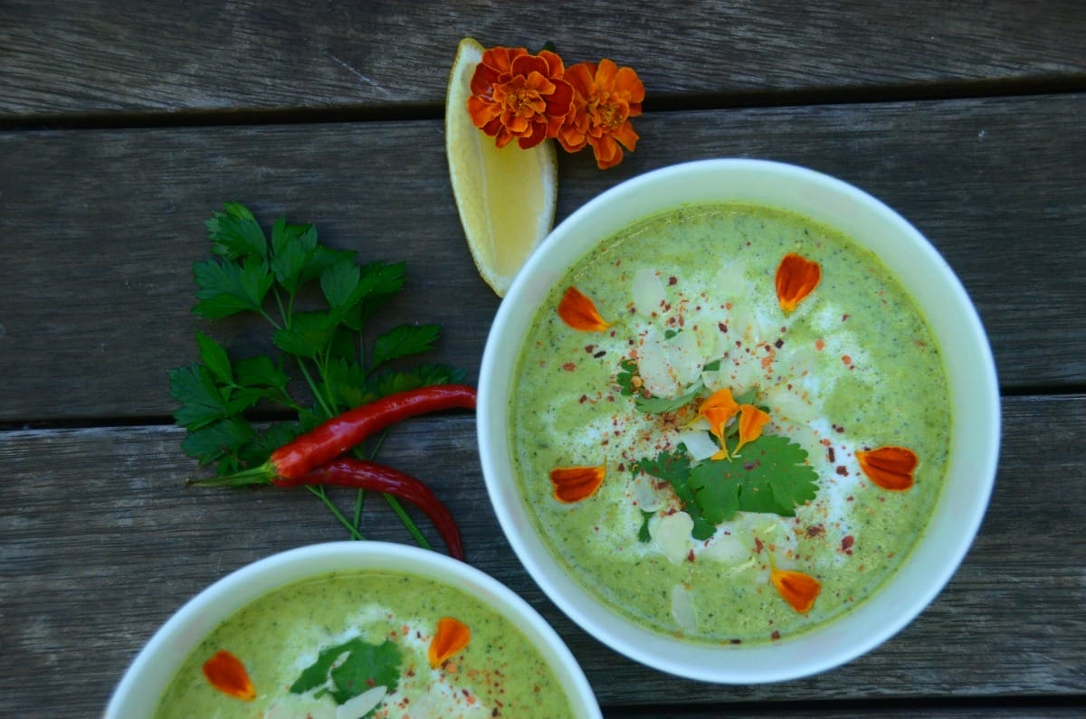 Broccoli and Coconut Soup [Vegan, Gluten-Free]