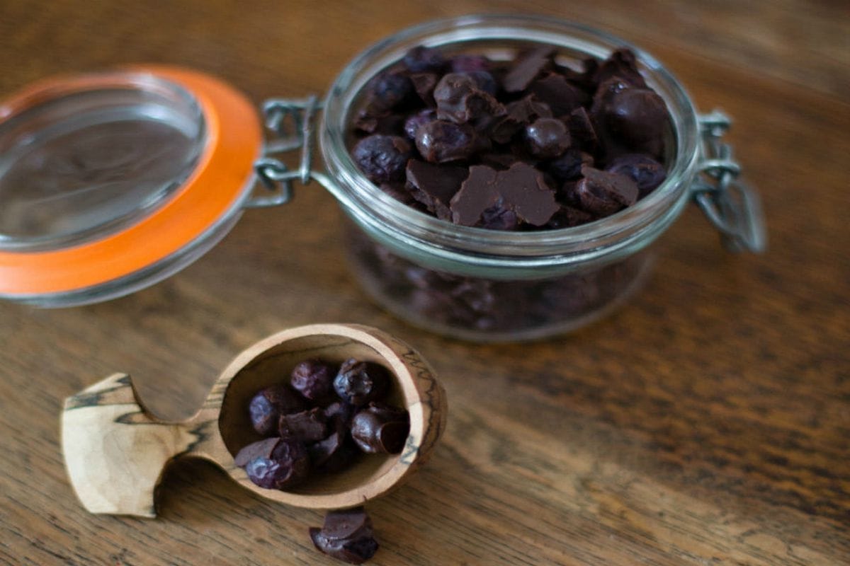 Homemade Chocolate Covered Blueberries [Vegan, Gluten-Free]