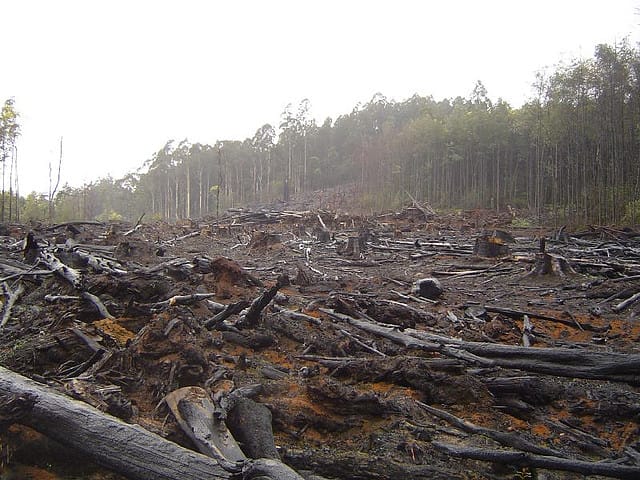 6 Ecosystems Impacted By Our Diets