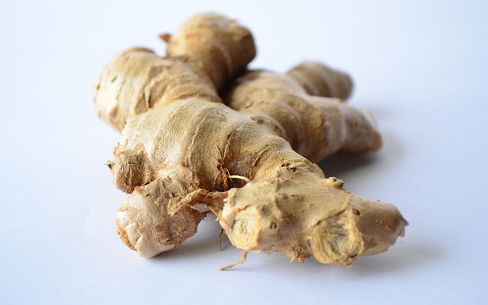 Ginger