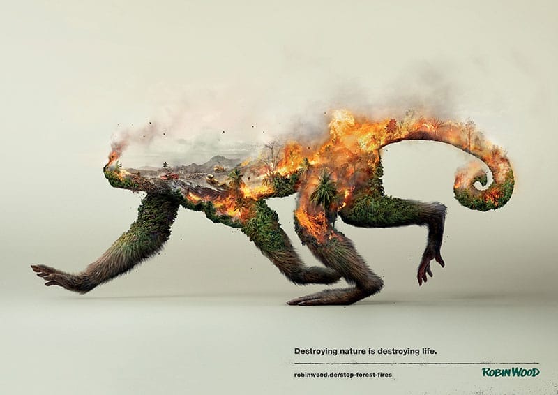 These Breathtaking Images Reveal That by Destroying Nature, We are Destroying Life Itself