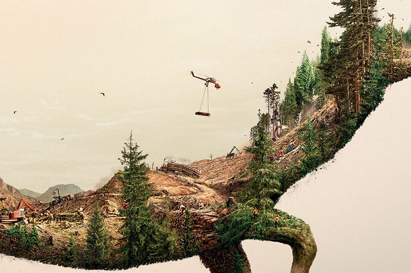 These Breathtaking Images Reveal That by Destroying Nature, We are Destroying Life Itself