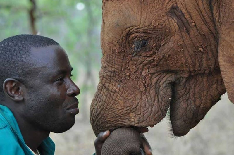 Beautiful Image Reveals How the Connection Between Humans and Elephants Ought to Be
