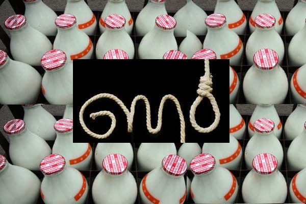 GMO MILK