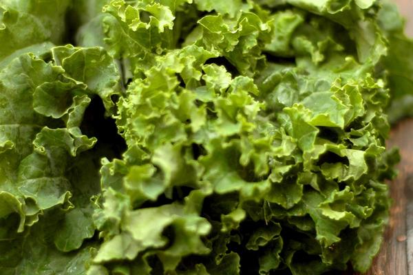 Top Vegan Foods That Build Lean Muscle