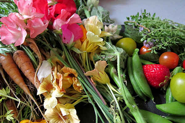 The Beginner's Guide to Growing an Edible Garden