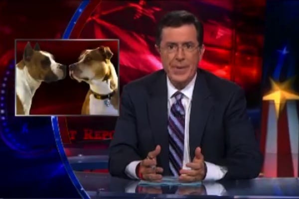 WATCH: Steven Colbert on Rep. Steve King's Dogfighting Defense