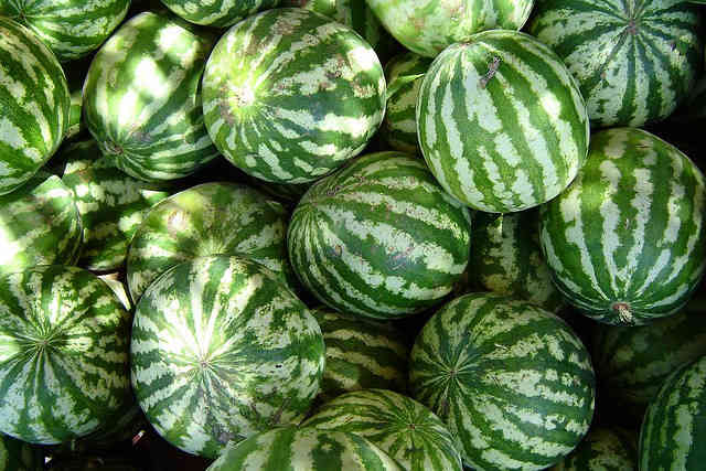 Your Guide to Seasonal Eating: August