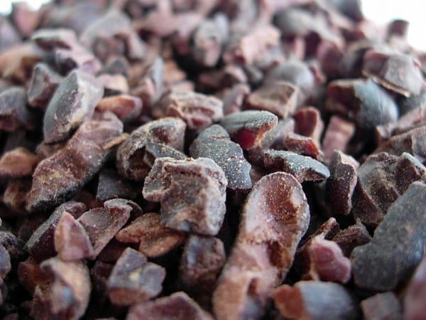 cacaonibs-3