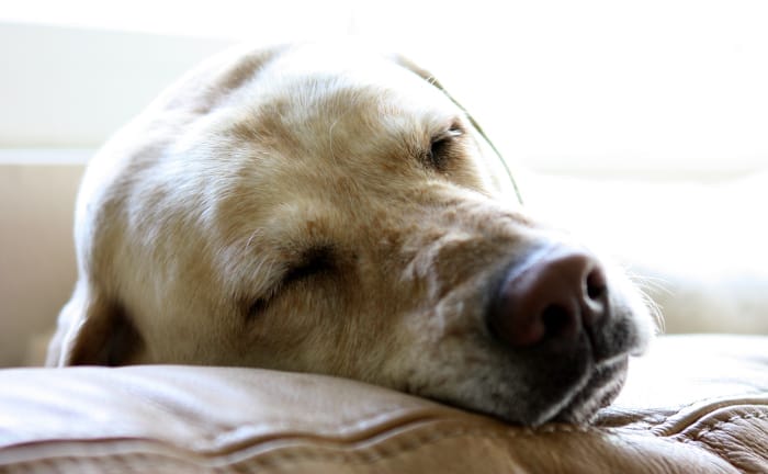 5 Tips to Get a Good Night's Sleep