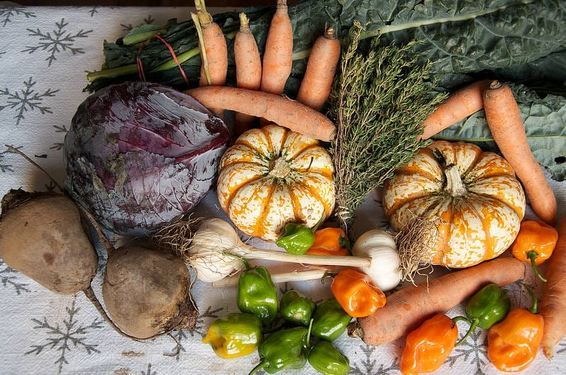 Community Supported Agriculture: What it is, and Why it's Awesome