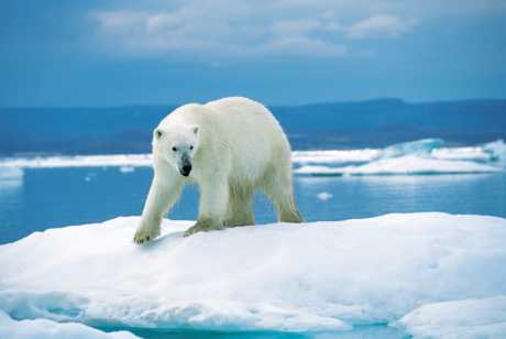 The 5 Worst Myths About Global Climate Change Debunked!
