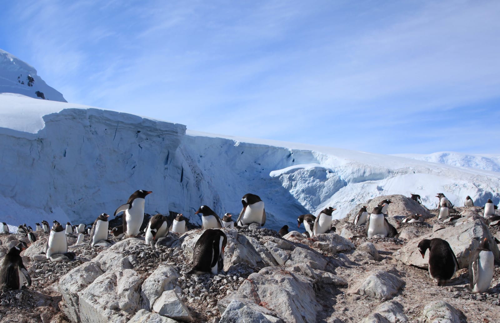 Top 10 of the Most Endangered Places in the World