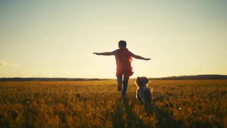 10 qualities of a great pet owner, animal qualities