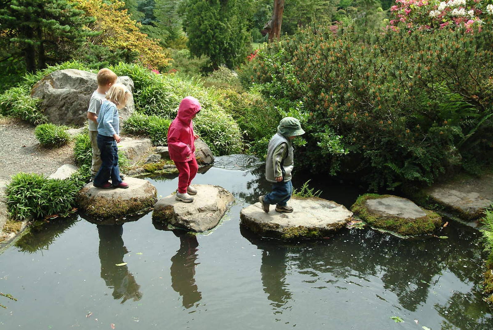 10 Fun and Educational Activities to Do with Kids During National Wildlife Week