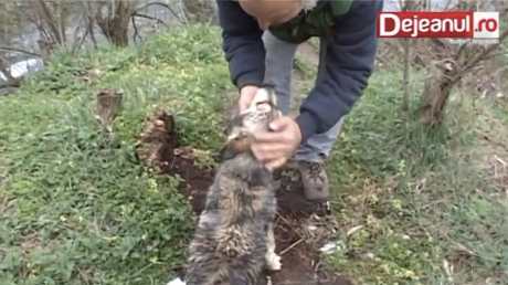 Grateful Dog Thanks Man For Canal Rescue (VIDEO)