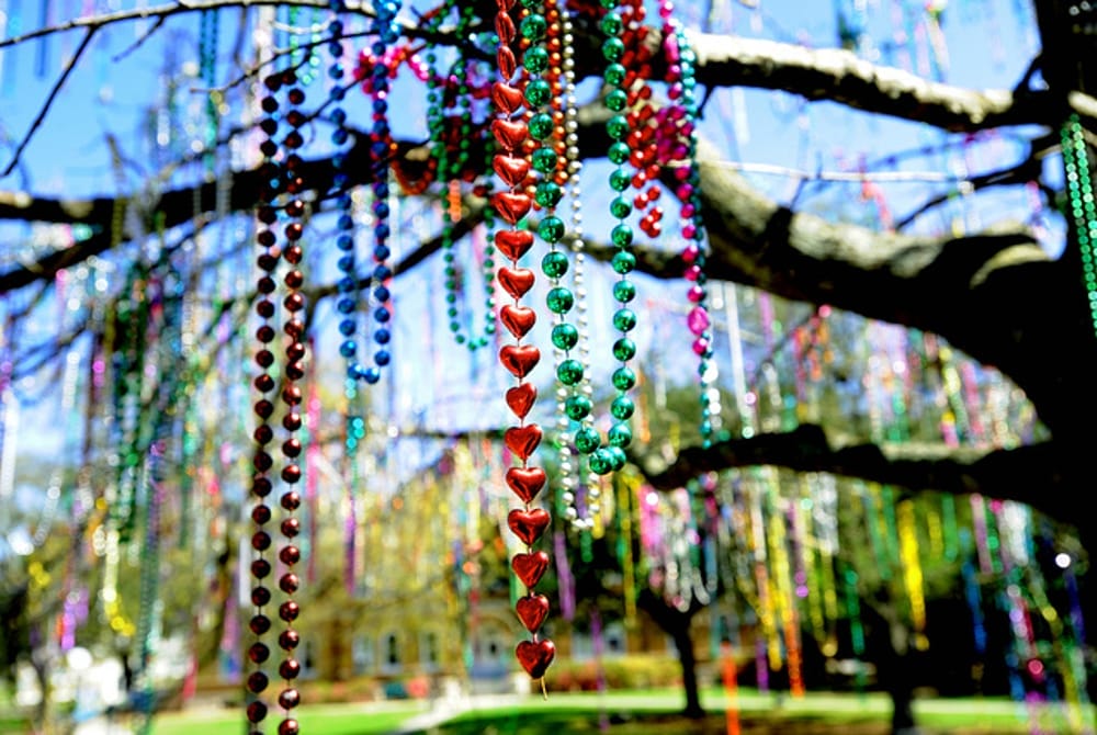 10 Plant-Based Ways to Get Your Mari Gras On