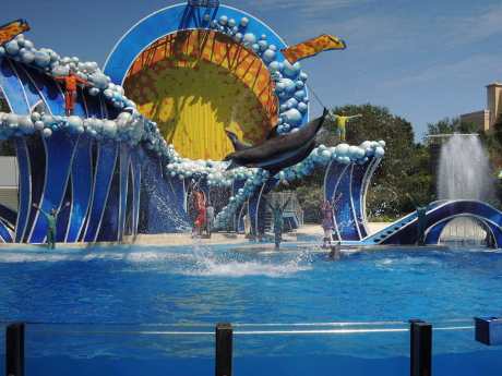 Against Seaworld? Here Are 7 More Things You Shouldn't Support