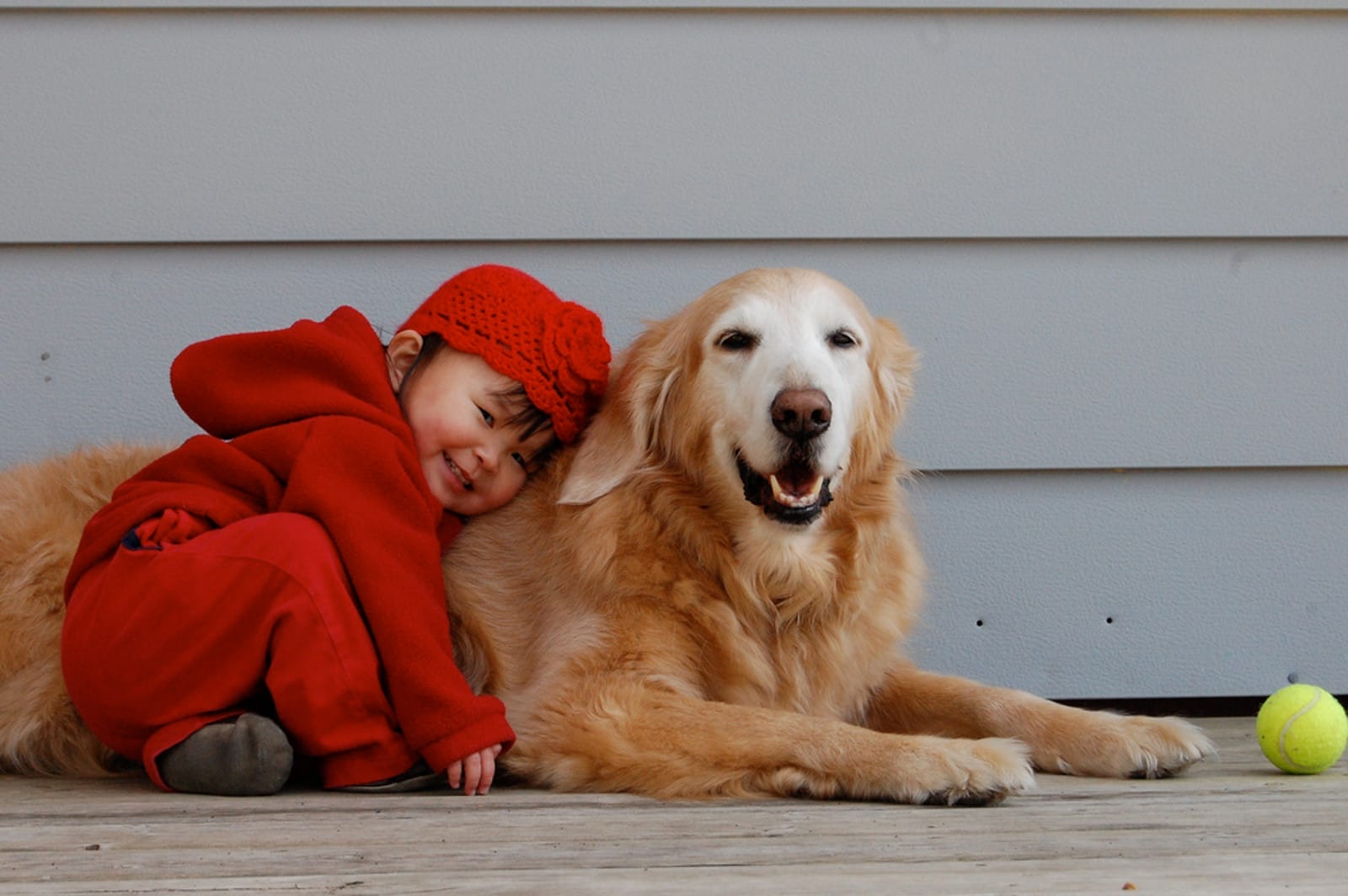 How to Keep Kids and Pets Safe Together