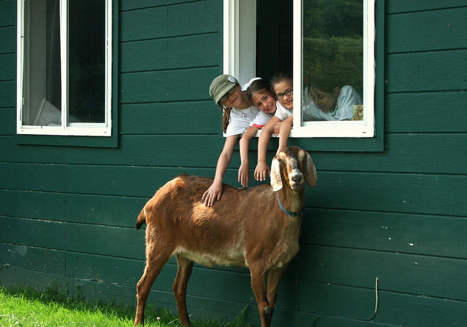 Camp Kindness Teaches Kids to be Compassionate Role Models for Other Kids and Adults Alike