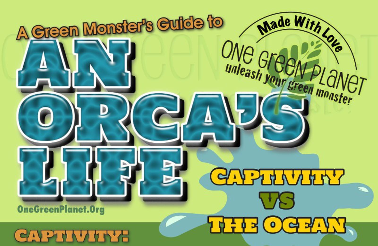 An Orca's Life in Captivity vs. the Ocean [INFOGRAPHIC]