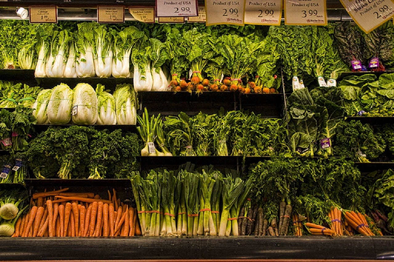 Why You Really Never Needed Meat in the First Place