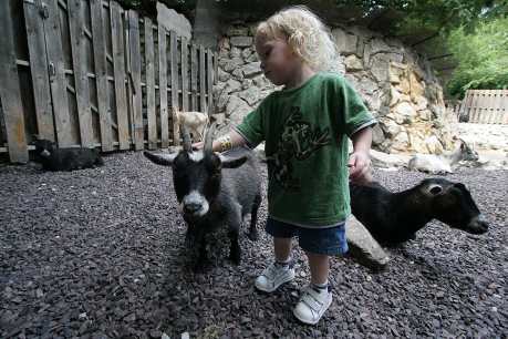 10 Things You Can Do To Make Your Kids More Compassionate