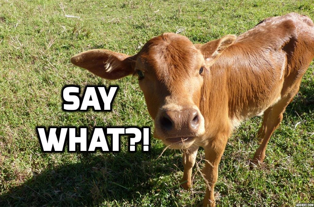 10 Facts About the Dairy Industry that Will Shock You