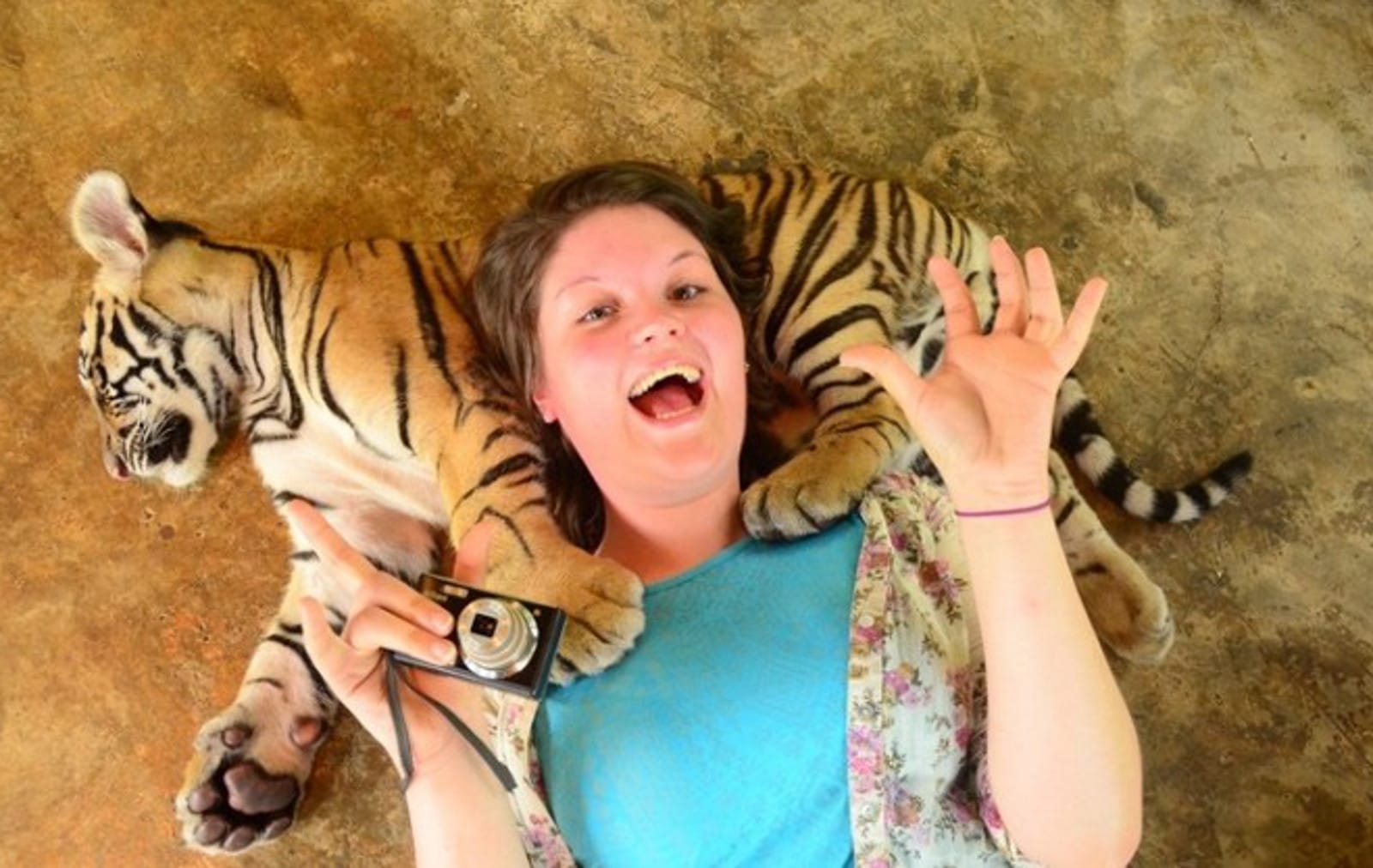Putting the ‘Con’ in Conservation: How Animal ‘Sanctuaries’ Aren’t Always What They Se