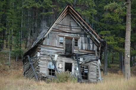 Homesteading 101