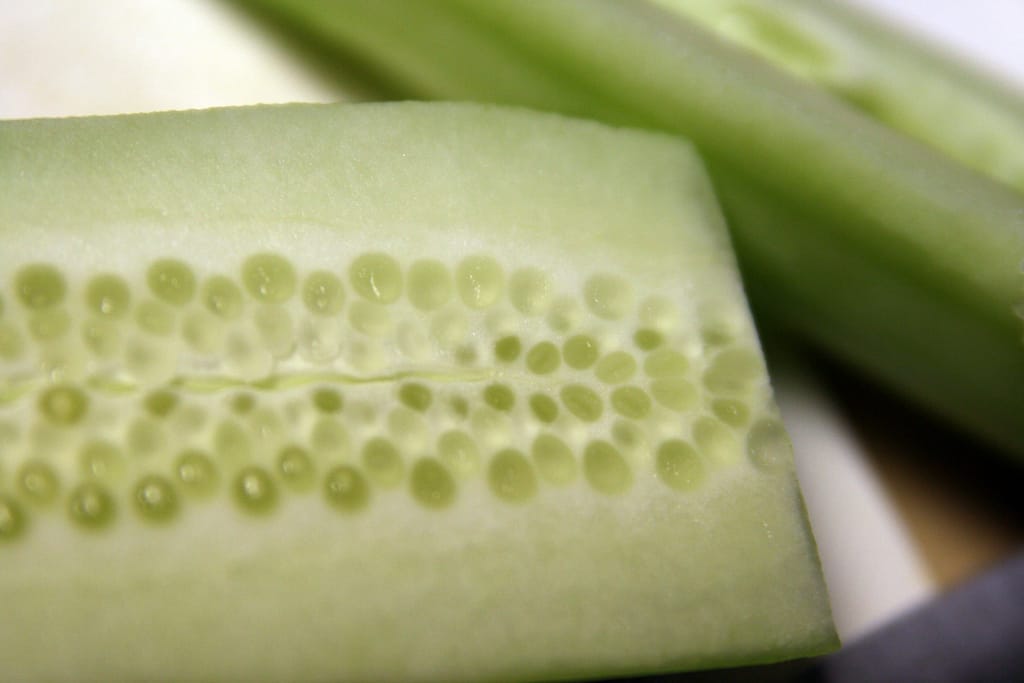 Why You Should Save Seeds for a Greener Future