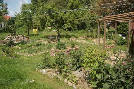 5 No-Till Garden Beds Loved by Permaculturalists the World Over